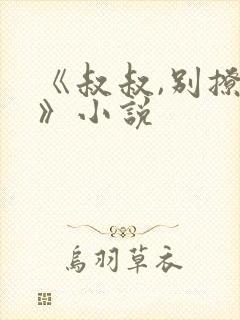 《叔叔,别撩我》小说