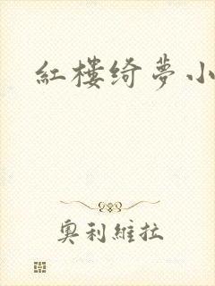 红楼绮梦小说封面