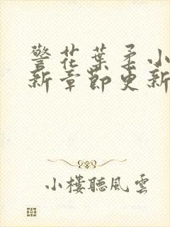 警花叶柔小说最新章节更新