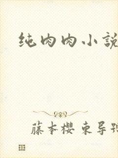 纯肉肉小说封面