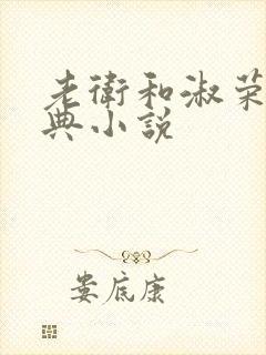 老卫和淑荣的经典小说封面