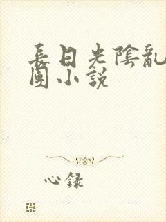 长日光阴乱作一团小说