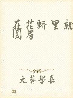 在花轿里就开始圆房