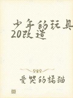 少年的玩具1一20改造