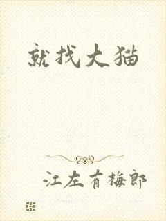 就找大猫封面