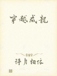 穿越成龙