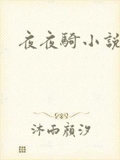 夜夜骑小说