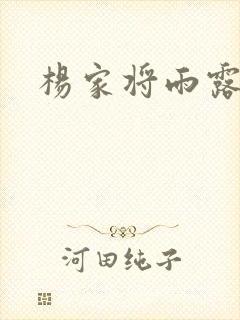 杨家将雨露均沾封面