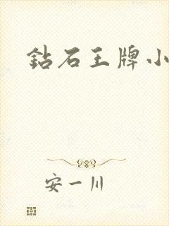 钻石王牌小说封面