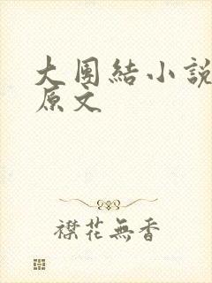 大团结小说阅读原文封面