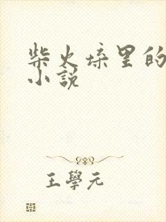 柴火垛里的疯狂小说