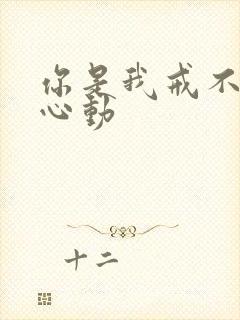 你是我戒不掉的心动