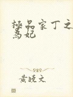 极品家丁之册母为妃