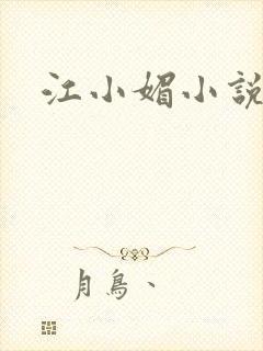江小媚小说封面