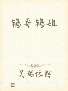 鸨哥鸨姐