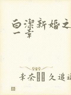 白洁新婚之夜第一章封面
