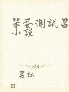 笨蛋测试召唤兽小说
