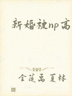 新婚被np高h
