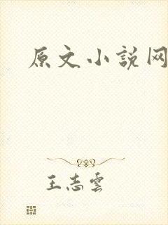 原文小说网