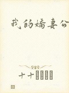 我的娇妻公务员