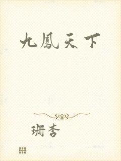 九凤天下