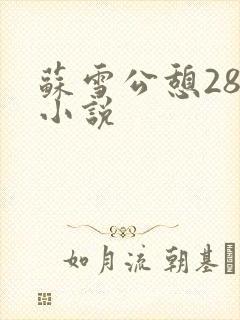 苏雪公憩28篇小说
