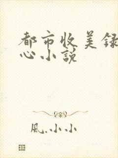 都市收美录宁素心小说