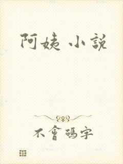 阿姨 小说封面