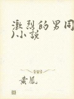 激烈的男同(h)小说
