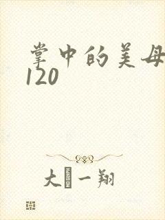 掌中的美母版主120封面