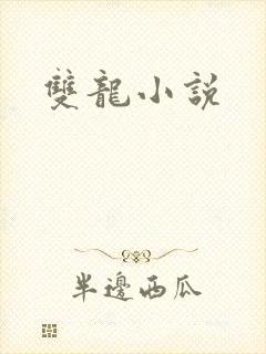 双龙小说封面