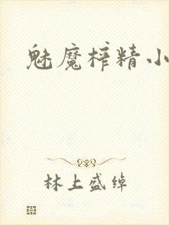 魅魔榨精小说封面