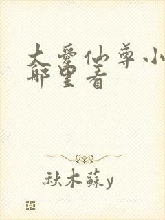 大爱仙尊小说在哪里看封面