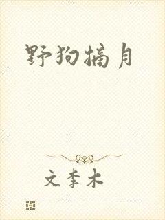 野狗摘月封面
