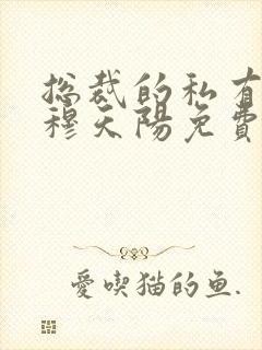 总裁的私有宝贝穆天阳免费