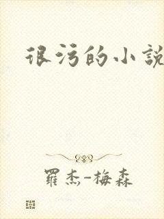 很污的小说