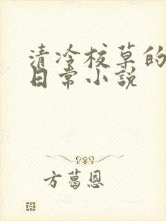 清冷校草的堕落日常小说