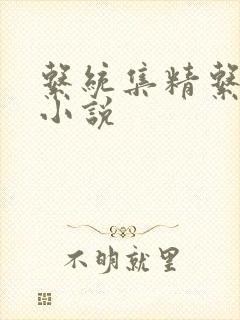 系统集精系统 小说