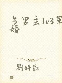 多男主1v3军婚