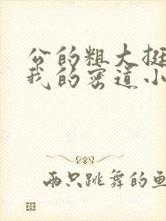 公的粗大挺进了我的密道小说