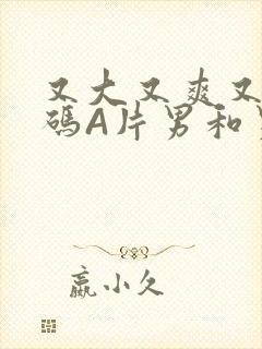 又大又爽又黄无码A片男和男