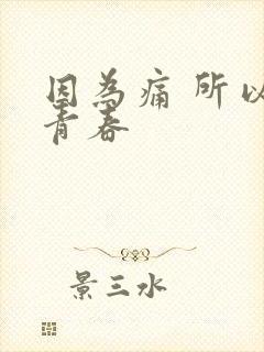 因为痛 所以叫青春