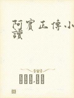 阿宾正传小说在读