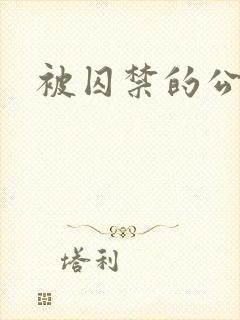 被囚禁的公主封面