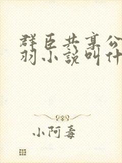 群臣共享公主银羽小说叫什么