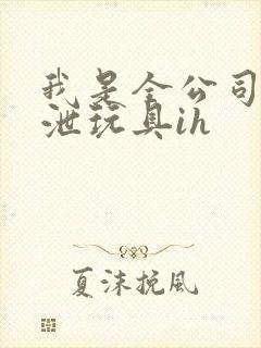 我是全公司的发泄玩具ih封面