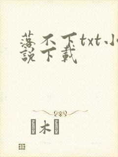 落不下txt小说下载