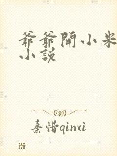 爷爷开小米的包小说