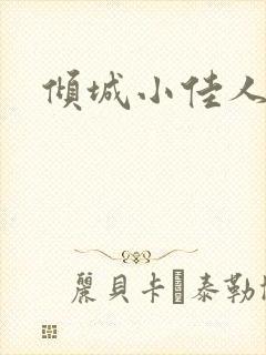 倾城小佳人封面