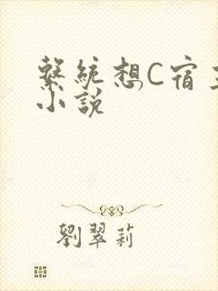 系统想C宿主的小说